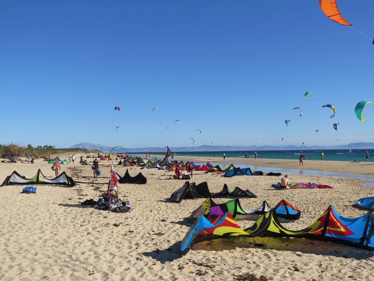 kites parked on traifa beach