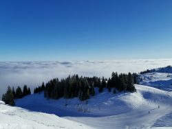 mountain view above clouds