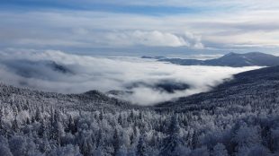 jahorina panorama, snowy hills and trees