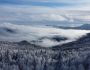 jahorina panorama, snowy hills and trees
