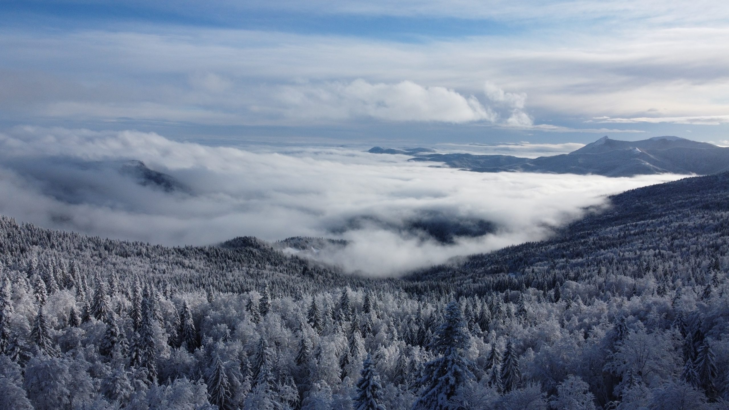 jahorina panorama, snowy hills and trees