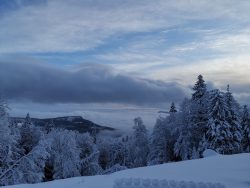 Mountains and trees under snow on Jahorina